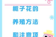 栀子花花期后的处理方式（保养技巧、剪枝要点与花卉延长寿命的秘诀）