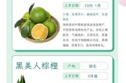 橙子的故乡在哪里？探寻橙子的神秘起源地（揭秘橙子的文化渊源，探索全球橙子生长的奥秘）