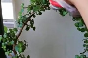 扶正祛邪，重塑辉煌——金枝玉叶烂根的拯救之道（重建家族荣光的关键步骤与方法）