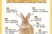 月兔耳的养殖技巧与注意事项（月兔耳养殖，健康成长的秘诀）