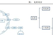 氯化铵肥料的优劣分析（探讨氯化铵作为肥料的应用价值及对环境的影响）