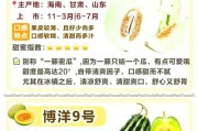 甜瓜摘心打顶的时间与方法（让甜瓜长势更佳的关键技巧）