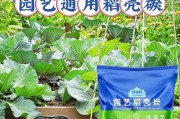 稻壳炭——开启花卉易成活新时代（探索稻壳炭在花卉种植中的应用）