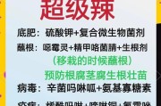 辣椒摘心打顶的时间和方法（辣椒产量提高的关键技术）