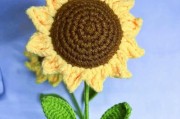 太阳花的花语——向阳的坚毅