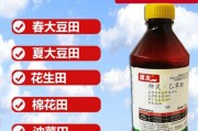 棉花病害防治指南（打什么药好？如何有效防治？）