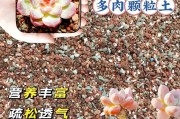 多肉烂根怎么办？（拯救你的多肉植物，教你修复烂根！）
