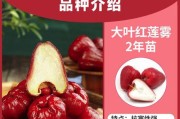 如何成功发芽莲雾种子（莲雾种子发芽技巧、方法、注意事项）