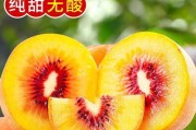 红心猕猴桃产地揭秘（寻找红心猕猴桃的故乡）