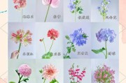花卉的魅力与养护秘籍（探索花卉的美丽世界，分享打造繁花盛景的技巧）