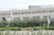 苔藓冬天不会冻死（揭开苔藓的冬季奇迹）