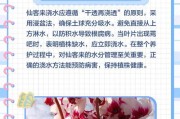 仙客来，夏日的仙境（畅享清凉，探索美景）