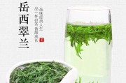 翠兰种植技巧（让你的翠兰长得更美丽）