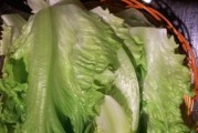 包生菜可以生吃吗？——了解这种蔬菜的安全性（如何在食用包生菜时避免食品安全问题）