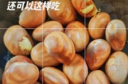菠萝蜜种子的营养价值与食用方法（探究菠萝蜜种子的营养成分及其对人体的益处）