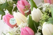考试送花，关爱心意传递不止（如何选择考试送花？15个建议告诉你）