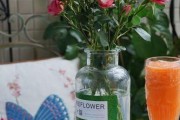 在厨房里养花，装点生活（厨房花园的设计和植物选择）