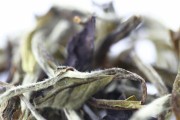如何正确保存福鼎白茶（保存时间和方法详解）