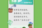 如何正确浇水以刚换盆的绿萝（绿萝浇水的注意事项和技巧）