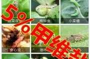杨树钻心虫防治方法（选择合适农药是关键）