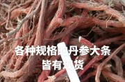 寻找最佳丹参产地（探究丹参品质的由来与关键）