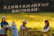 东北大米生长周期详解（揭秘东北大米从种子到成熟的全过程）