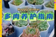 打造多肉植物的优美形态（如何养护多肉植物以获得良好外观）