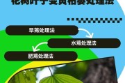 如何挽救花叶子蔫巴了的植物？（有效方法让花朵重新焕发生机，让你的植物再次充满生机）
