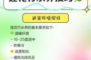 如何正确修剪以水养竹子的技巧（培养健康生长的竹子，从正确修剪开始）