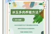 多肉被冻后的处理方法（教你如何拯救被冻伤的多肉植物）
