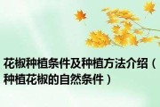 花椒种植条件与生长环境详解（了解花椒种植必须知道的15个要点）