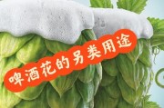 花草与啤酒的不可思议结合（如何正确使用啤酒浇灌花卉以获得惊人的效果）