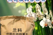 以君子兰为主题的营养土配制方法（打造健康君子兰的土壤配方分享）