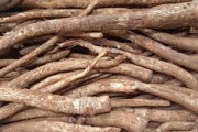 揭秘马刺挖人的最佳时间（如何在合适的时间点为球队引进新鲜血液）