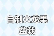 火龙果种植全攻略（一起来学习火龙果的种植技巧吧！）