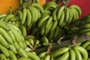 香蕉属于什么植物类型？（解密香蕉的植物学身份。）