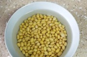 黄豆发芽的过程（探究黄豆从种子到发芽的奇妙变化）