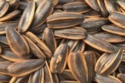 荆芥如何冷冻保存（荆芥保存的方法和技巧）