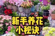 花草养护指南——让你的植物健康茁壮（从种植到养护，掌握关键技巧，让花草常青盛放）