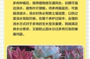 多肉植物养护指南（以大颗多肉植物怎么处理）