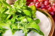 冰草（探究冰草的营养价值、食用方法及注意事项）