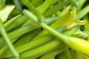 了解黄花菜——神秘而美味的野菜（探寻黄花菜的身世和健康益处，为你的餐桌增添一份独特的风味）