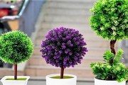 3.紫罗兰：紫罗兰是一种长寿之花，它不仅能够美化家居环境，还能让属猪人更加自信、充满活力。