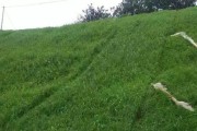 边坡绿化植物的选择与养护（种植、养护和管理，助您打造美丽的边坡园林）