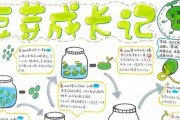 黄豆生长环境条件及特点剖析（探究黄豆种植的最佳环境，从而提高生产效率与品质）