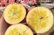 苹果的甜度到底是多少？（探究苹果的甜度及其影响因素）