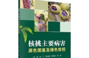 核桃的繁殖方法和注意事项：让你轻松种出好果子
