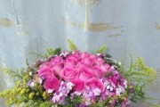 相思梅种植指南（从萌芽到开花，打造属于你的相思梅花园）