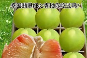 红柚苦味的消除与食用方法（美味红柚背后的苦味之谜与解决方法）