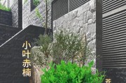 如何选择适合种植的优质赤楠品种（了解各品种特性，选择合适的品种进行种植）